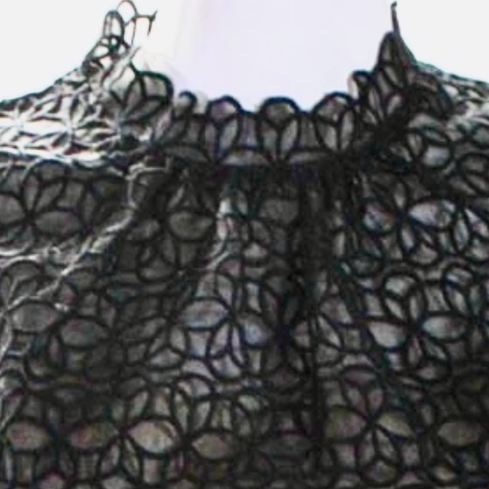Milly of NY Vintage Silk Lace Mini Shift Dress in Black Size 2 - Picture 5 of 14